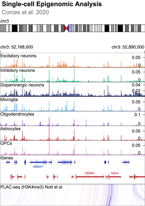 A chromosome 3 overview, multiple bar tracks, gene annotations, and circular line connections are shown.