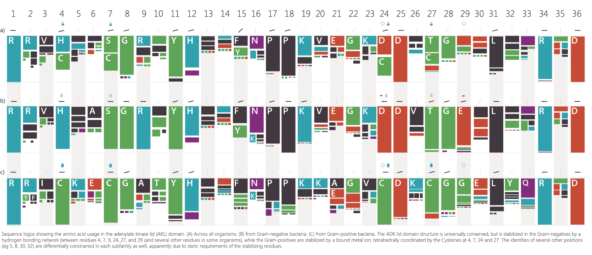 An alternative sequence logos showing bars instead of letters.