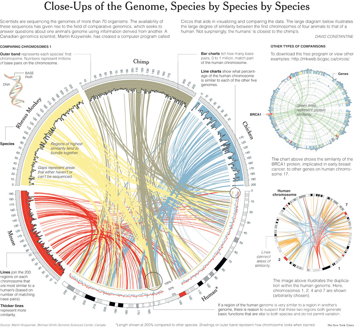 A screenshot of a new article including three Circos plots, which shows line connections between different regions of human or other species' chromosomes.